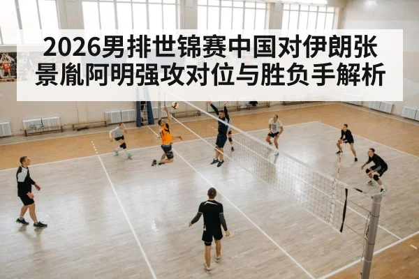 volleyball team players court